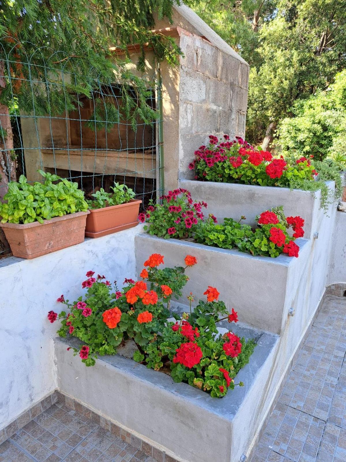 Domus De Mare Apartment Cala Gonone Exterior photo